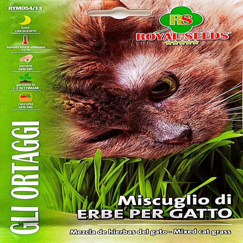Royal Cat Grass Approx. Seeds 4gm