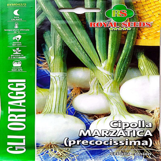 Royal Onion Marzatica Precocissima Approx. Seeds 5gram
