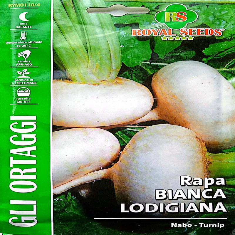 Royal Turnip Rapa Bianca Lodigiana Approx. Seeds 20 gram