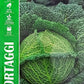Royal Cabbage Cavolo Verza Re Inverno 2 033/36