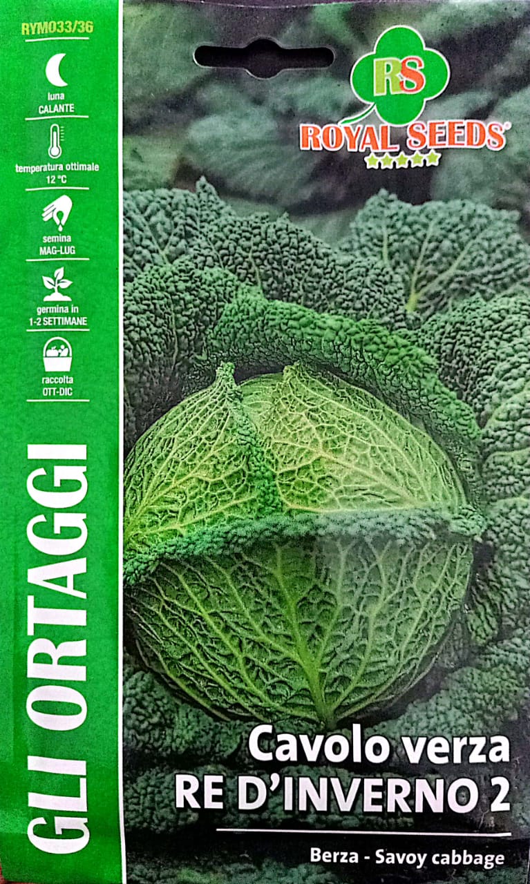 Royal Cabbage Cavolo Verza Re Inverno 2 033/36