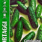 Royal Cucumber Piccolo Verde Di Parigi 38/2