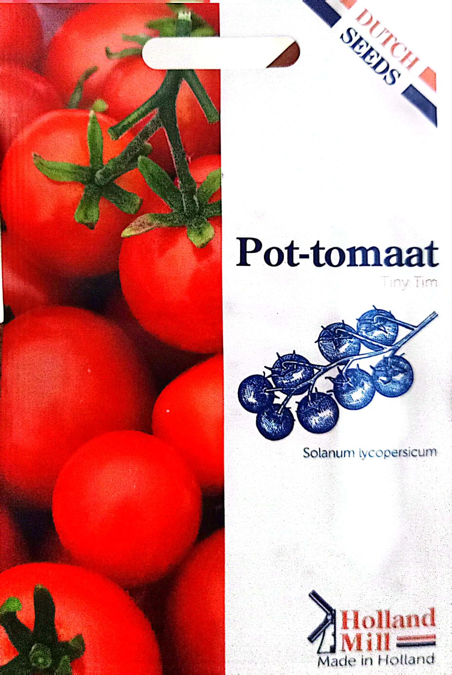 Pot-Tomato Tiny Tim