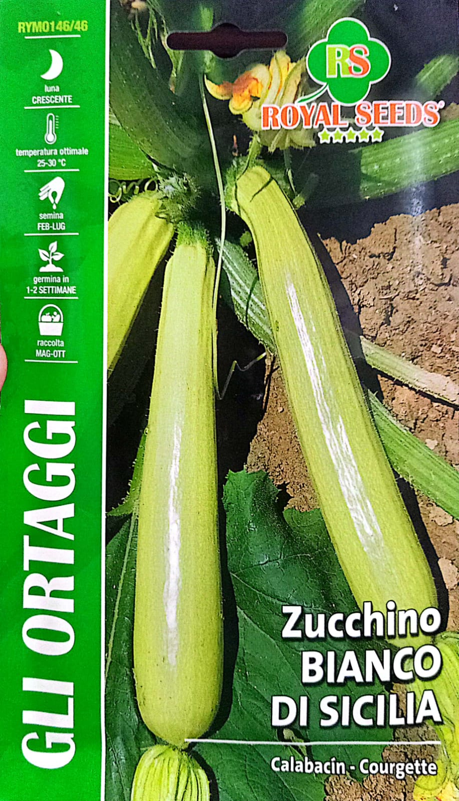 Royal Zucchino Bianco Di Sicilia 146/46