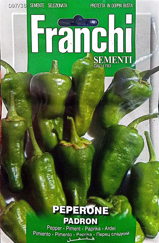 Frachi Pepper Padron D97/38