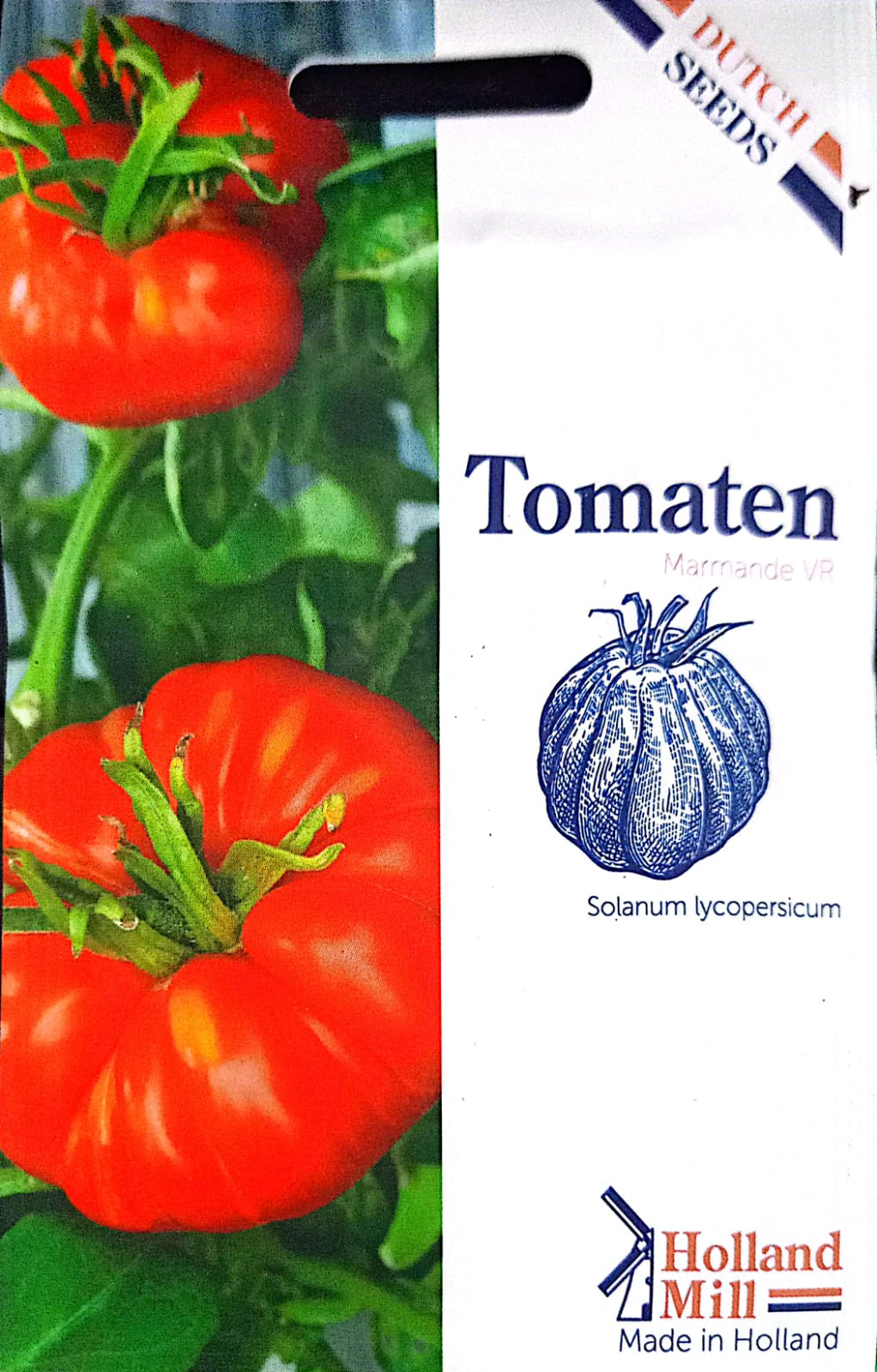 Tomato Marmande VR