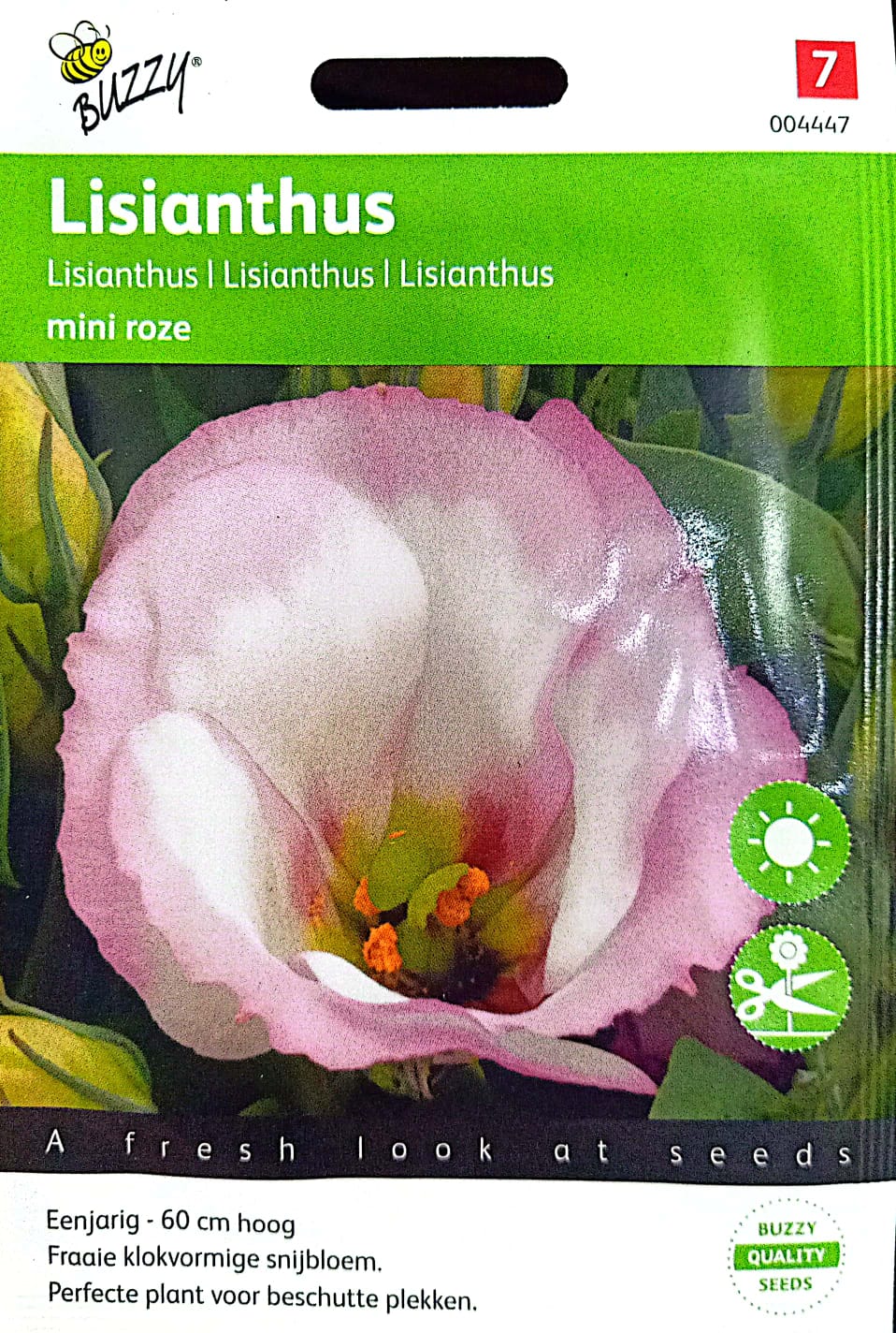 Buzzy Lisianthus Pink 004447