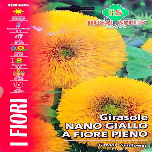 Royal Sunflower Nano Giallo A fiore Pieno 3g  Approx. Seeds