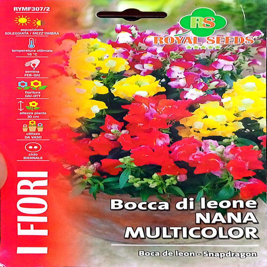 Royal Antirrhinum Snapdragon Dwarf 1g Approx. Seeds 7000 Mix