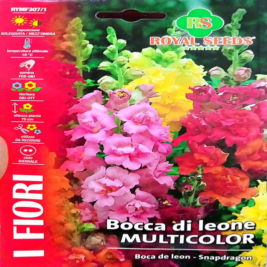 Royal Antirrhinum Snapdragon tall 1g  Approx. Seeds 7000 Mix