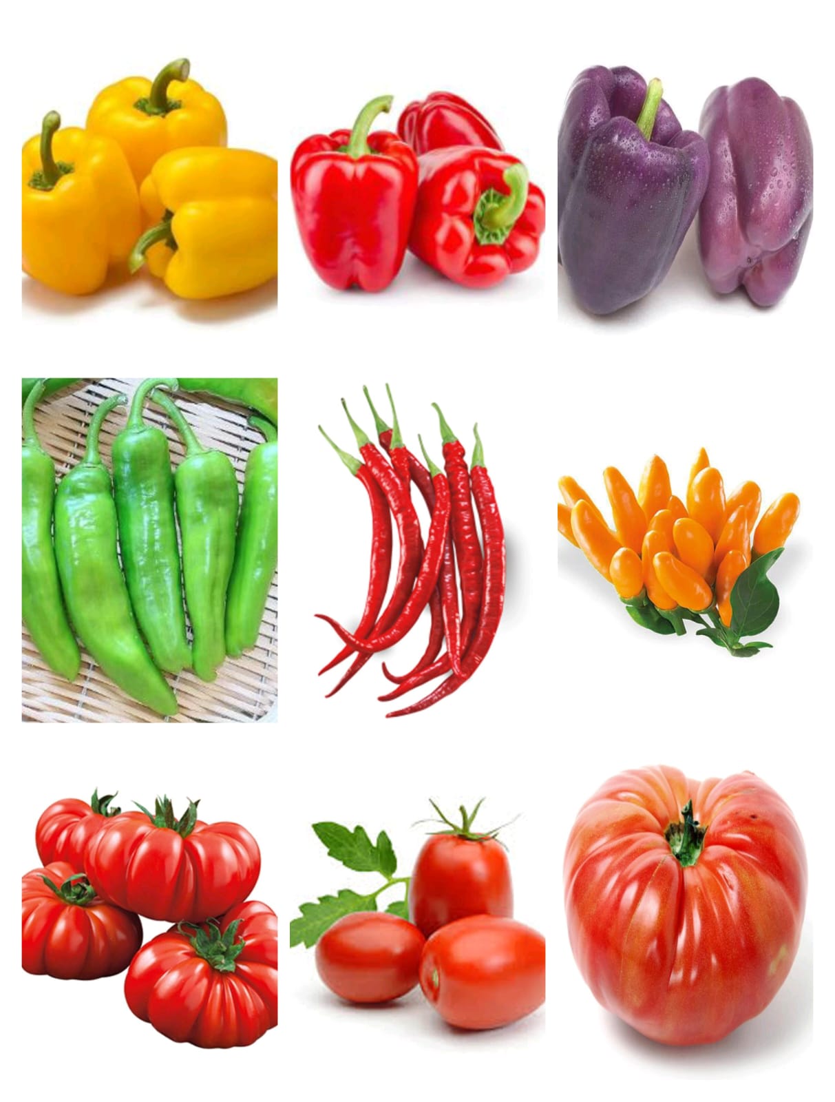 SUMMER DEAL SEEDS 06