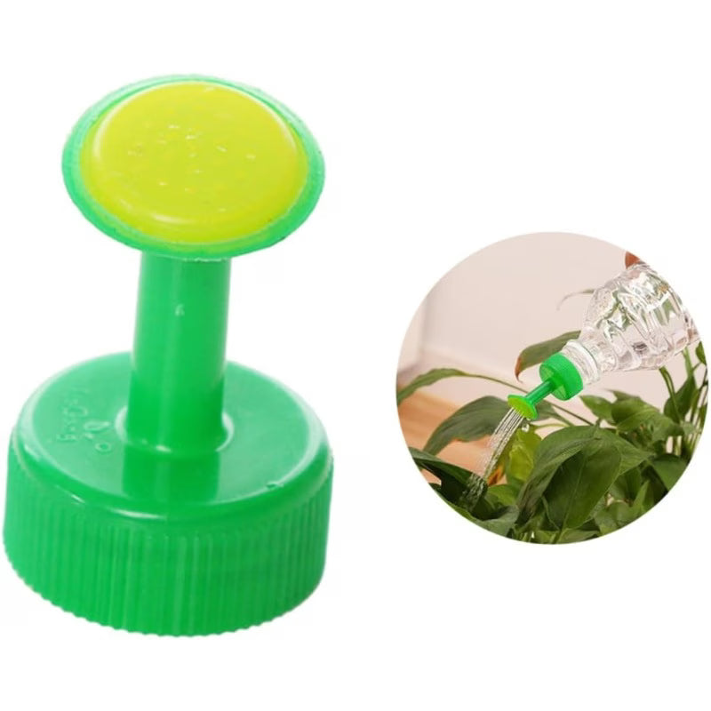 1pcs Miniature Garden Plant