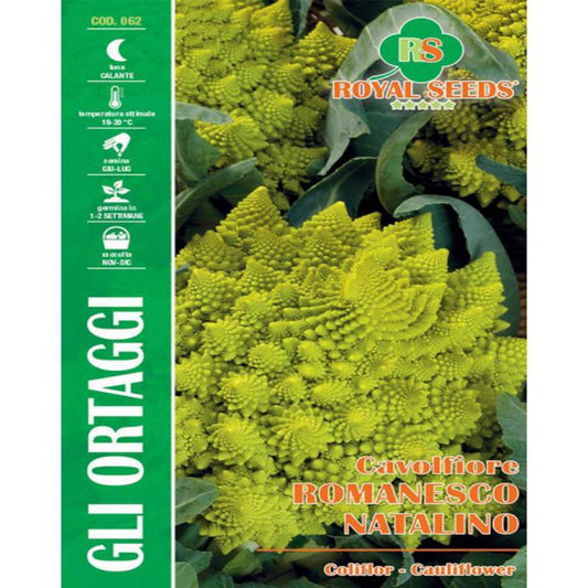 Romanesco Cauliflower Seeds 4g – Buy Vegetable Seeds Online in Pakistan