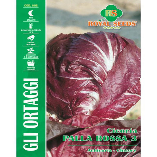 RED BALL CHICORY 3 MAXI Approx. Seeds 12gm