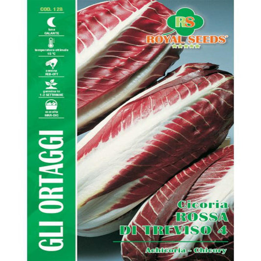 RED TREVISO CHICORY 4 MAXI  Approx. Seeds 12gm