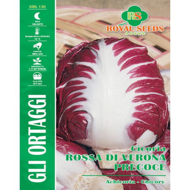 RED VERONA CHICORY - EARLY MAXI Approx. Seeds 12gm