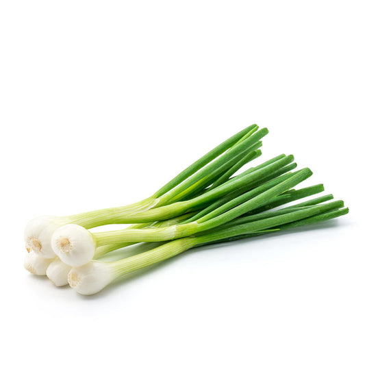 White Onion Lisboa Approx.150-200 Seeds