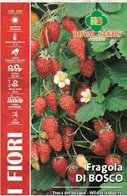 Royal Wild Strawberry 63/34