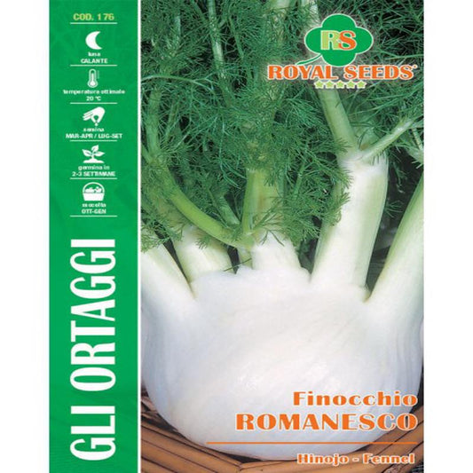 Roman Fennel Seeds (Saunf) 6g – Buy Herb Seeds Online in Pakistan