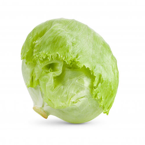 Iceberg Lettuce 1gm Approx. Seeds 1000