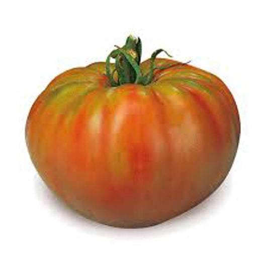 PANTANO ROMANESCO TOMATO Approx.30 Seeds