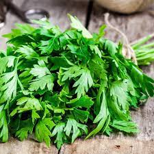 Parsley Italia Approx.1200 3g Seeds