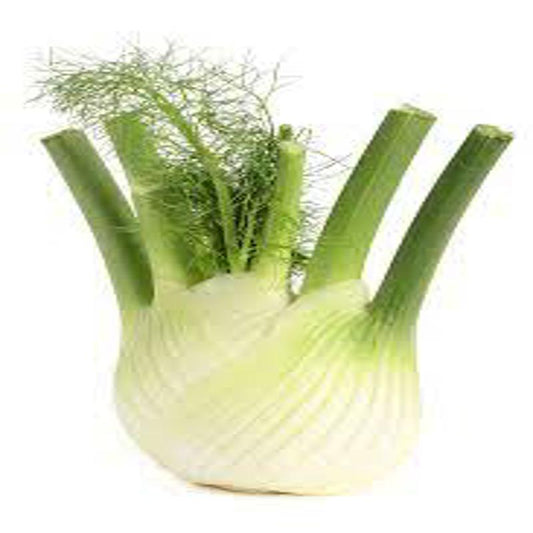 Fennel Approx.1g Seeds