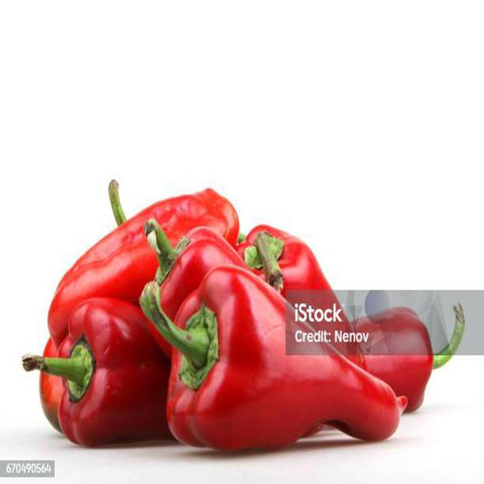 Pepper Odino Red Approx.30 Seeds