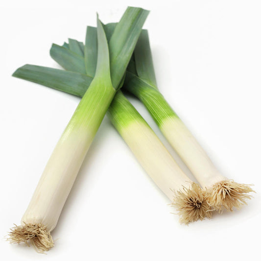 Leek Carentan 3 Approx.150-200Seeds