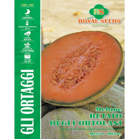 MAXI NETTED MELON OF THE GREENERS Approx. Seeds 6gm
