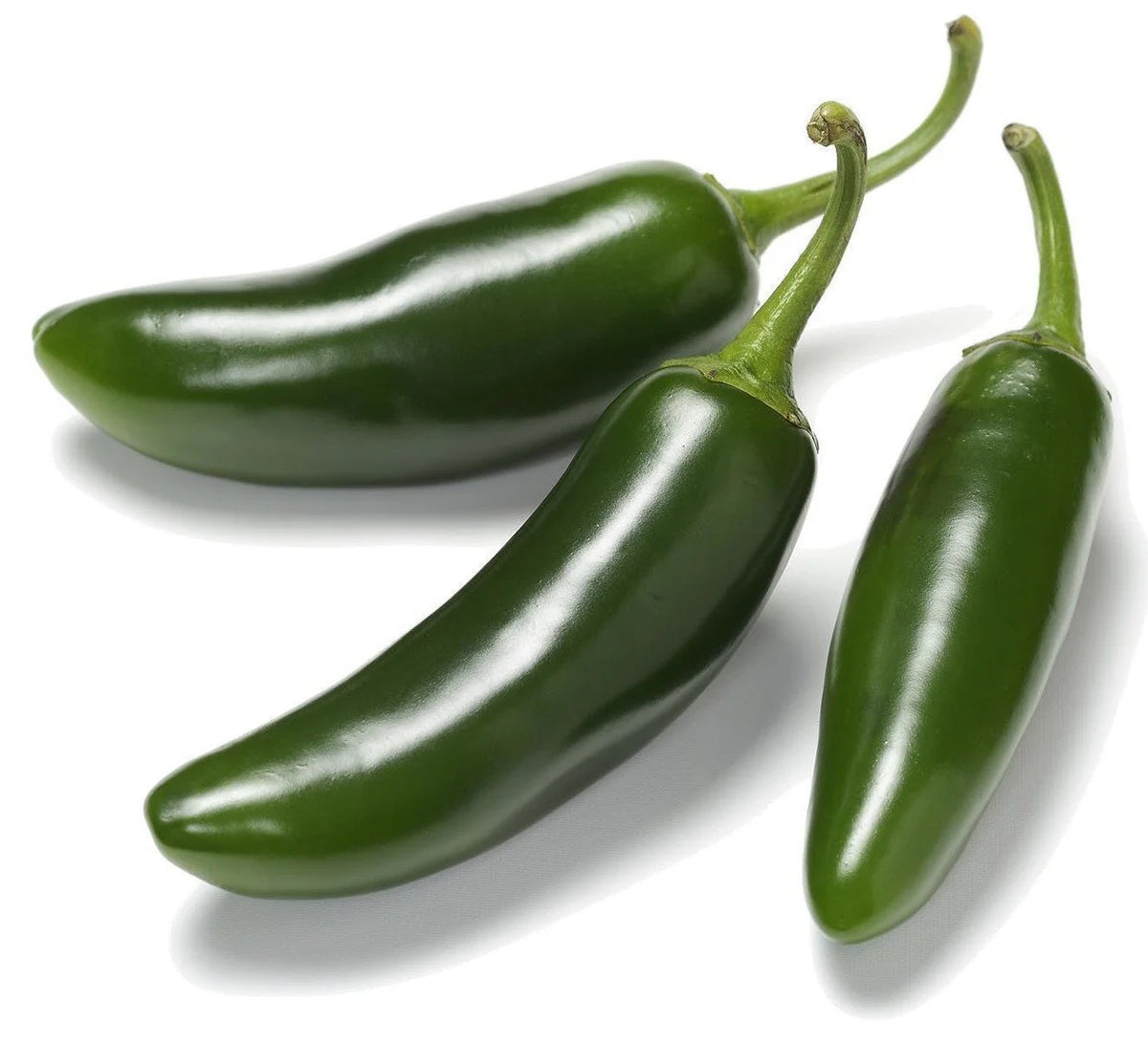 Jalapeno Pepper  50-Seeds