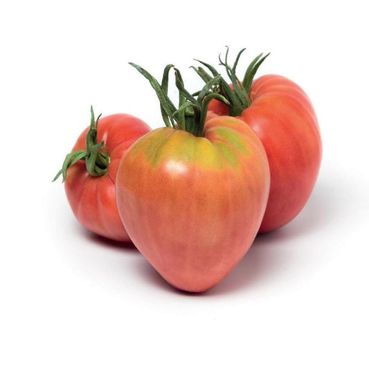 Tomato Cuor Di Bue Approx.30 Seeds
