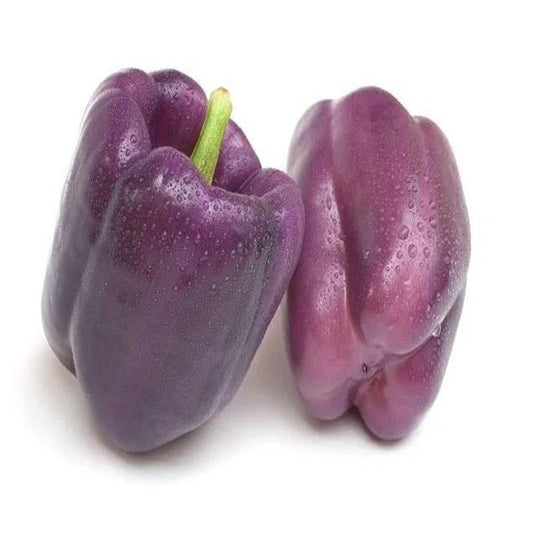 Pepper – Purple Belle Approx.30 Seeds
