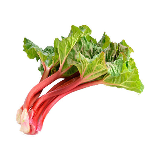 Rhubarb Seed Approx.10 Seeds