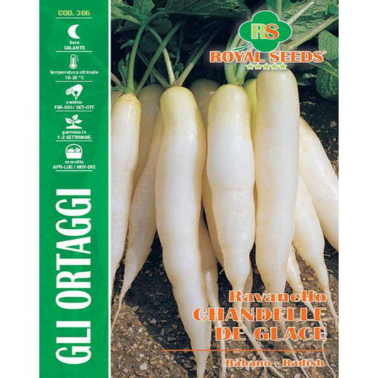 RADISH ICE CANDLE MAXI Gram-15 Approx. Seeds