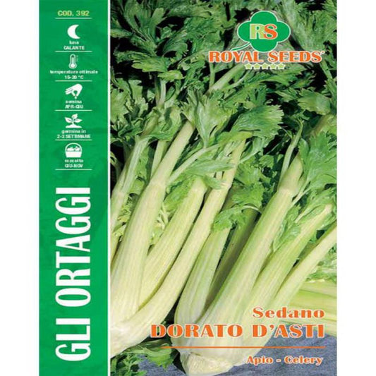GOLDEN CELERY FROM ASTI Approx. Seeds Gram-4