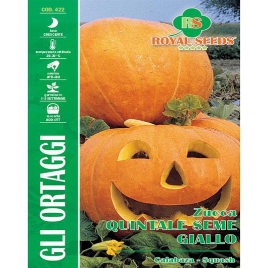 PUMPKIN YELLOW SEED Halloween pumpkin Approx. Seeds Gram-4
