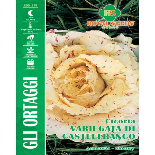 VARIEGATED CHICORY CASTELFRANCO Bitter Approx. Seeds 12gm
