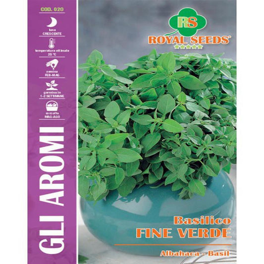 FINE GREEN BASIL SEEDS "MINUTE LEAF Gram-1.5