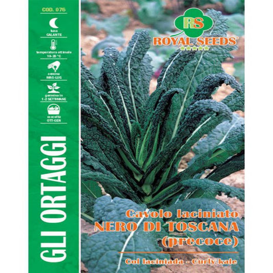 ROYAL KALE 35/7 Approx. Seeds Gram-8