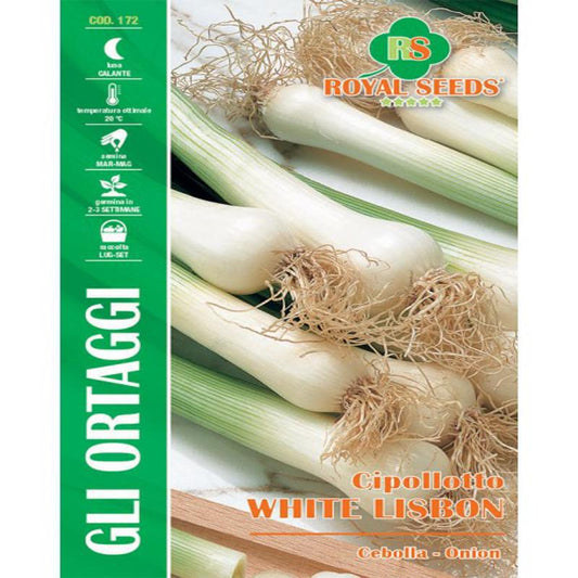 WHITE LISBON SPRING ONION Sweet flavor Approx. Seeds 3gm