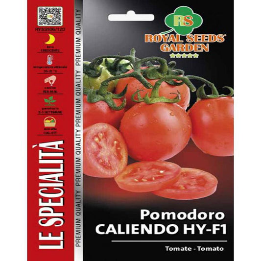 TOMATO SEEDS CALIENDO HY-F1 disease resistance Approx. Seeds G-0.25