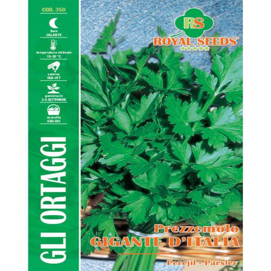 ITALIAN GIANT PARSLEY SEEDS large leaves Approx. Seeds 18gm