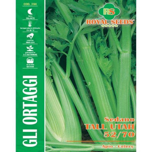 TALL UTAH "GREEN" CELERY SEEDS 394 crispy ribs Approx. Seeds Gram-4