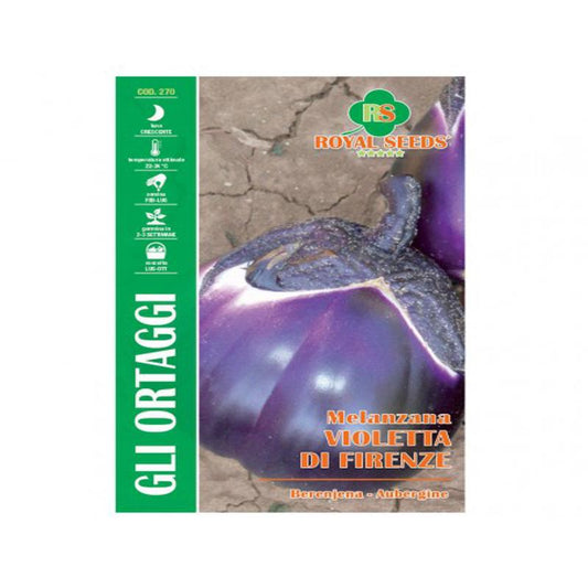 PURPLE AUBERGINE SEEDS FROM FLORENCE White pulp  Approx. Seeds 2gm