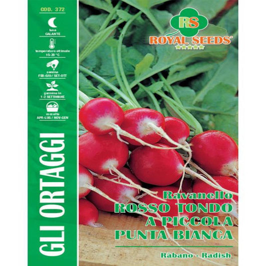 RED RADISH SEEDS ROUND SMALL WHITE TIP Gram-15 Approx. Seeds