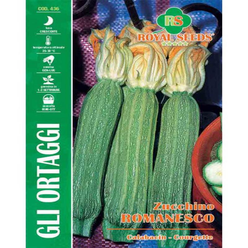 ROMANESCO COURGETTE SEEDS Conical Zucchino Approx. Seeds 9gm
