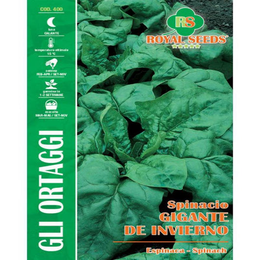 GIANT SPINACH MAXI  Approx. Seeds 24gm