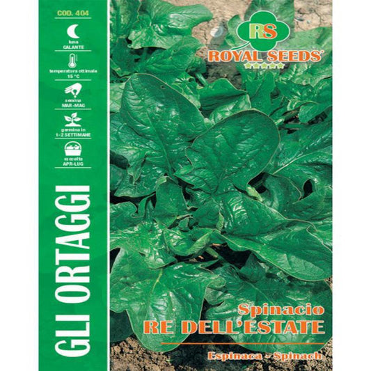 SPINACH KING OF MAXI Approx. Seeds Gram-24