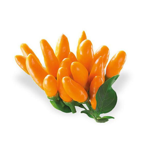 Pepper Stromboli Approx.10 Seeds